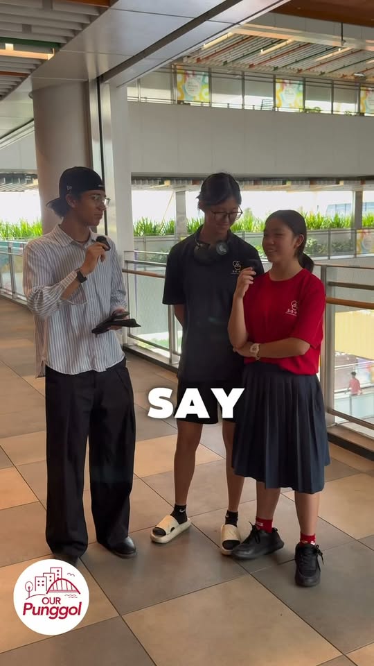 Punggol GRC Inter-Racial and Religious Harmony Carnival activities