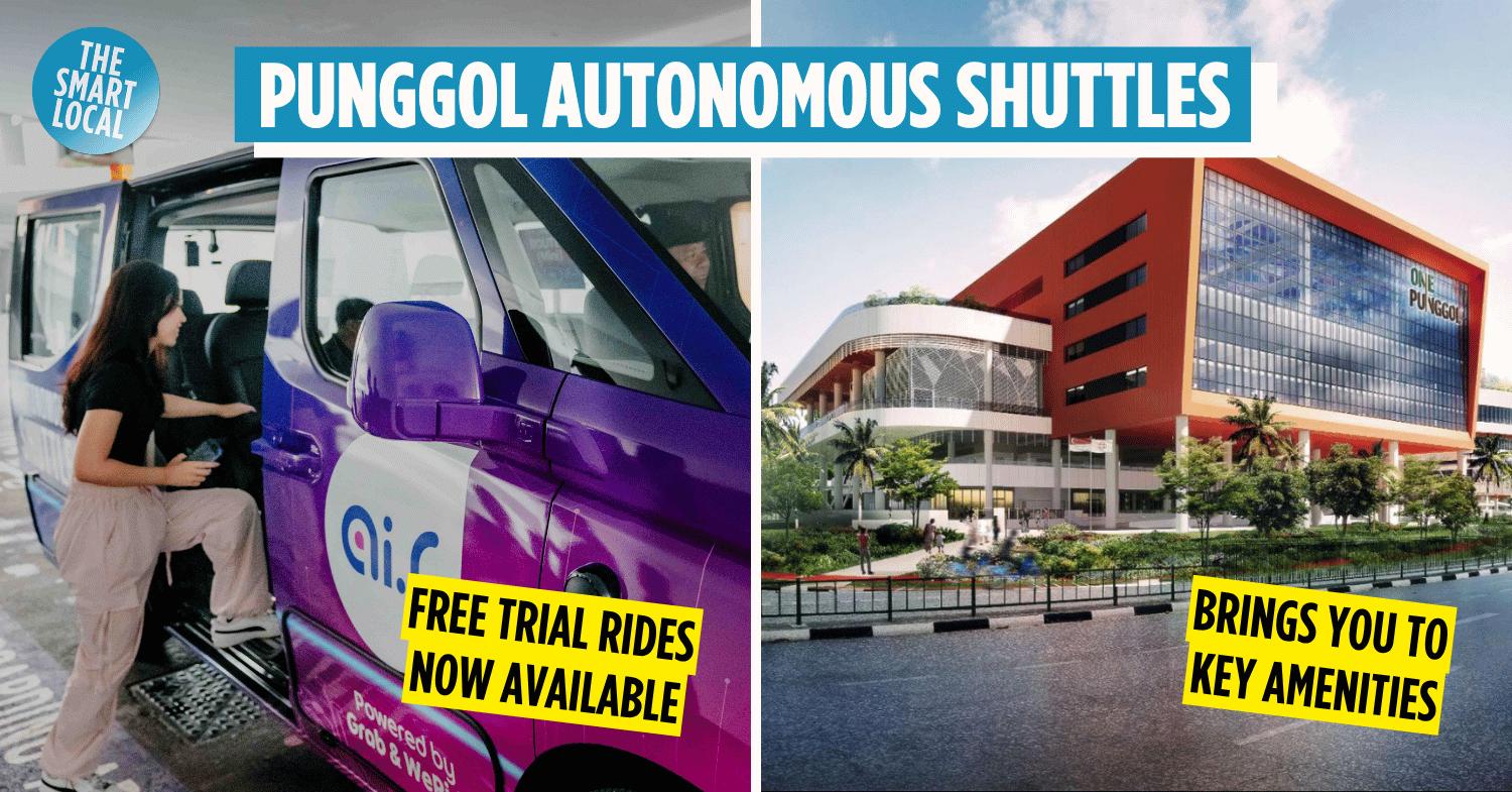 Punggol Autonomous Shuttle Update: Free Public Rides Now Running With New Oasis Terraces Route