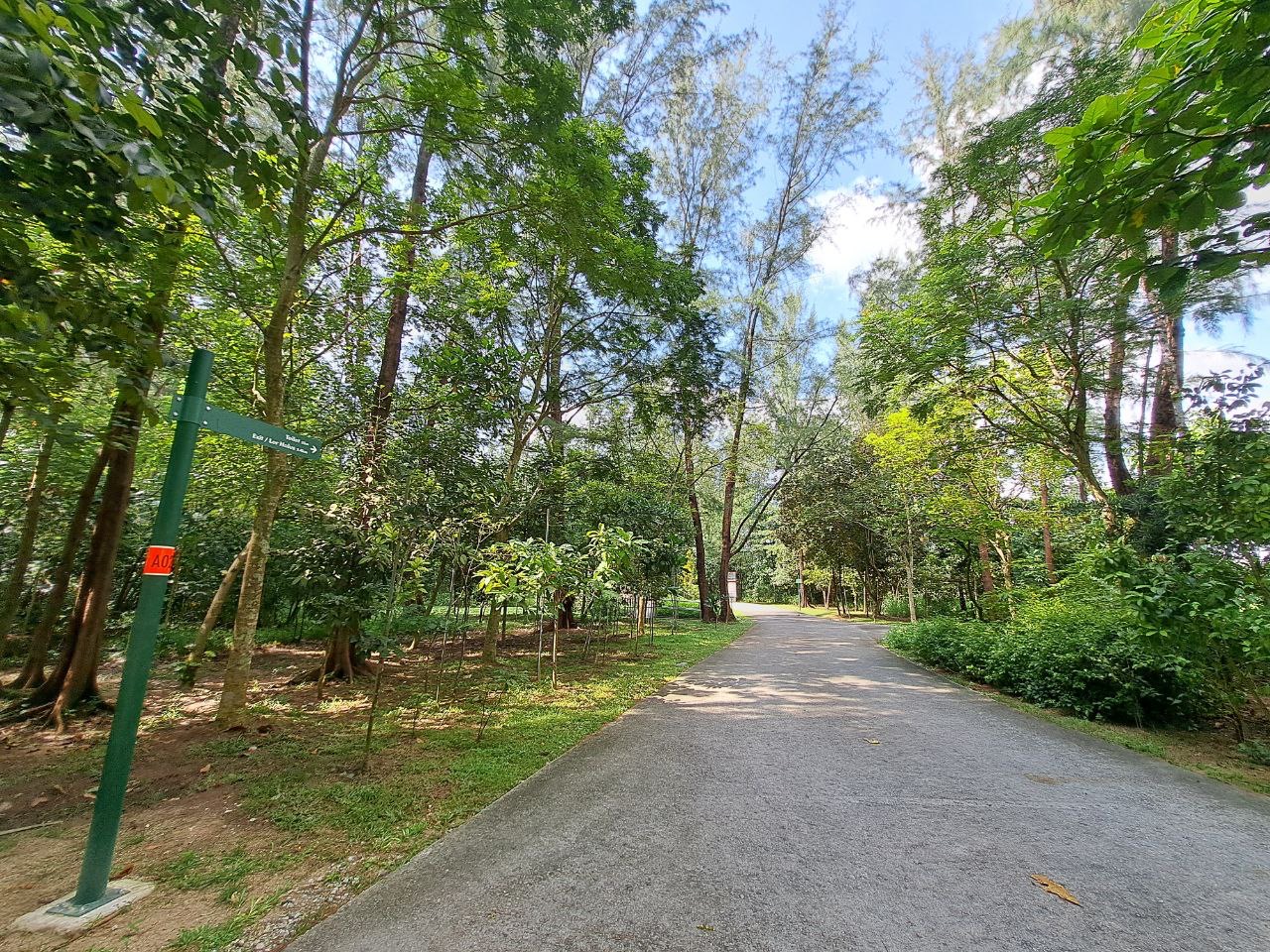 Coney Island Park trail used on the Stride For Good 6km loop from Punggol Coast Mall