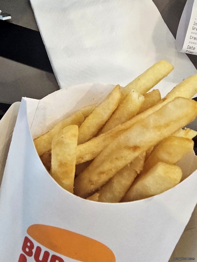 Close-up of golden french fries in a Burger King container.