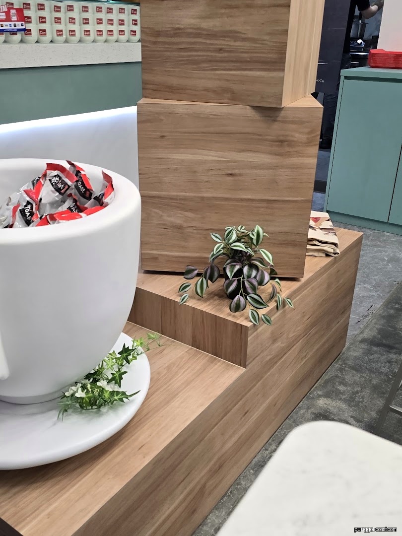 Shop interior with large cup display, wooden blocks, and plants.