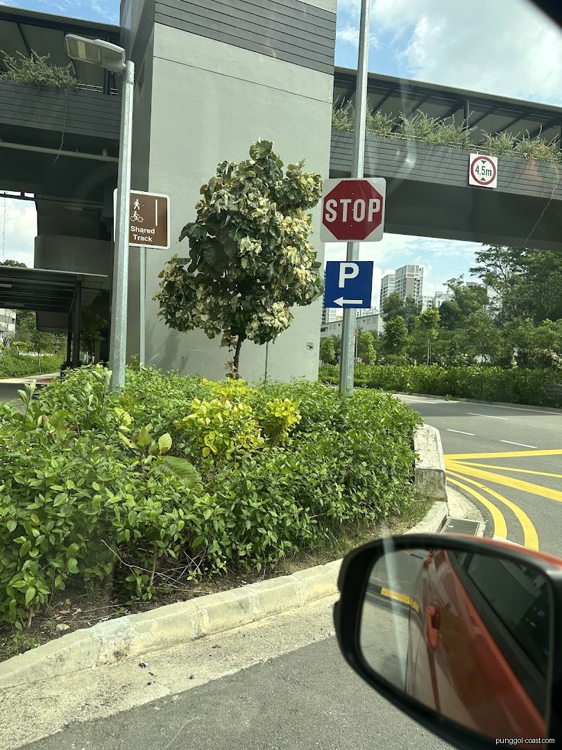 Roadside view with stop, parking, and shared track signs near a building.