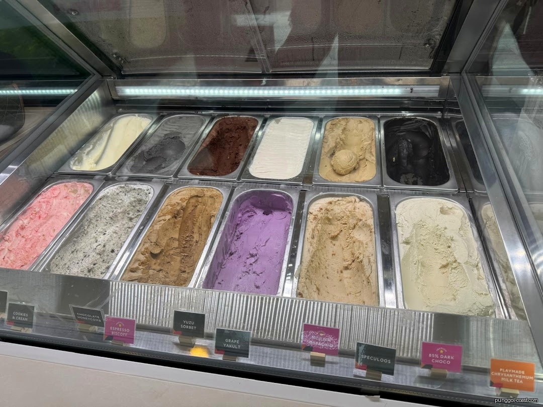 Various ice cream flavors displayed in a glass freezer with labels.