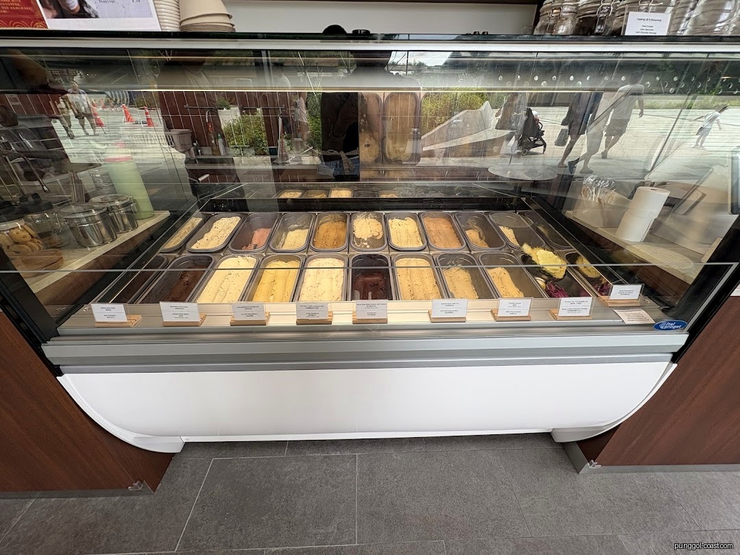 A glass display case showcasing various flavors of gelato or ice cream.