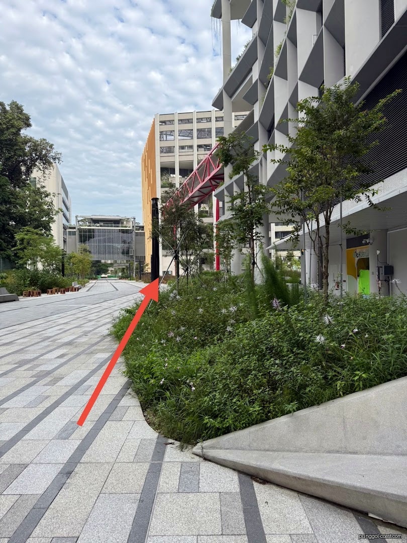 Paved outdoor walkway with green plants and modern buildings under a cloudy sky.