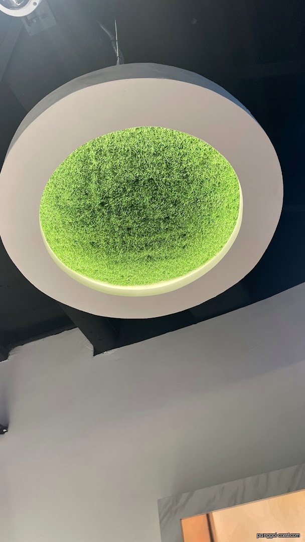 Circular ceiling fixture with illuminated artificial green grass.